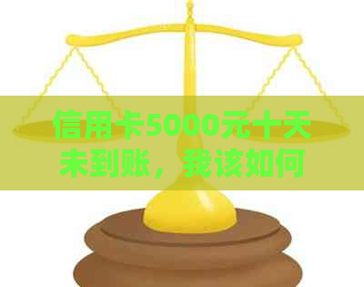 信用卡5000元十天未到账，我该如何处理？