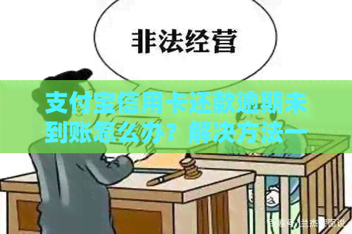 支付宝信用卡还款逾期未到账怎么办？解决方法一网打尽！