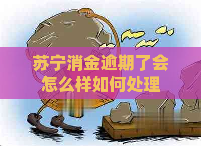 苏宁消金逾期了会怎么样如何处理