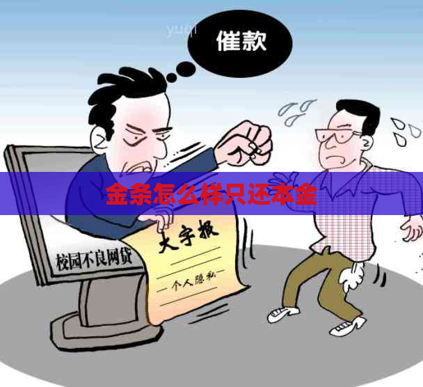 金条怎么样只还本金