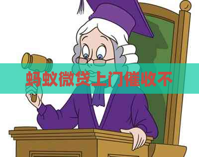 蚂蚁微贷上门不