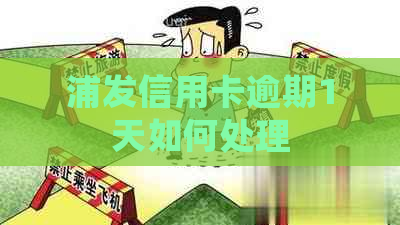 浦发信用卡逾期1天如何处理