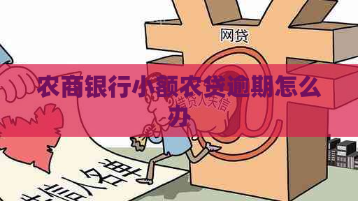 农商银行小额农贷逾期怎么办