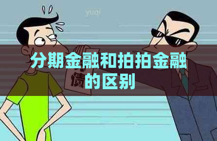 分期金融和拍拍金融的区别