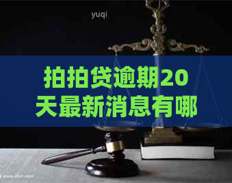 逾期20天最新消息有哪些