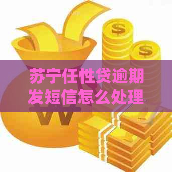 苏宁任性贷逾期发短信怎么处理