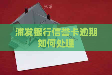 浦发银行信誉卡逾期如何处理