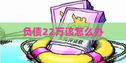 负债22万该怎么办