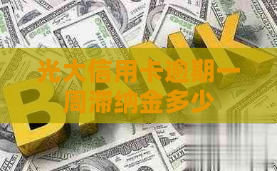 光大信用卡逾期一周滞纳金多少