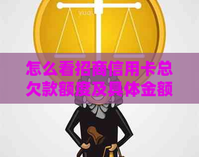 怎么看招商信用卡总欠款额度及具体金额