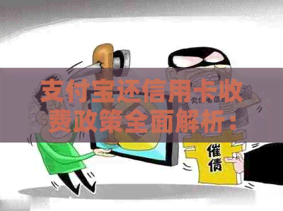 支付宝还信用卡收费政策全面解析：手续费收取方式、影响及如何避免