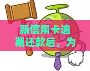 新信用卡逾期还款后，为何感觉债务越来越多？如何解决这个问题？