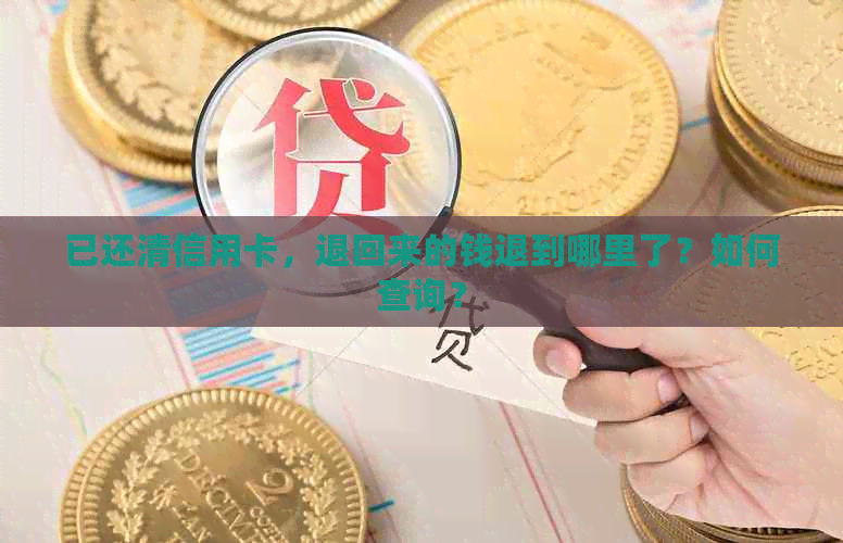 已还清信用卡，退回来的钱退到哪里了？如何查询？