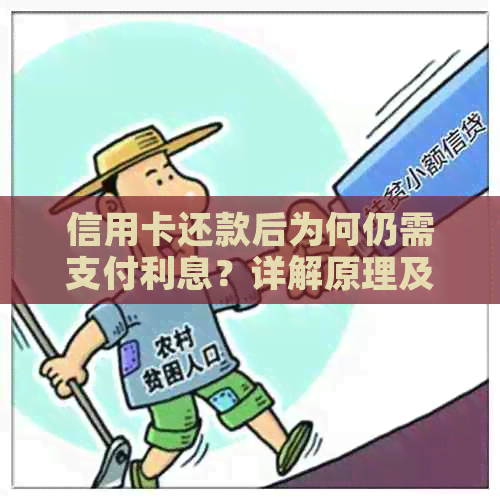 信用卡还款后为何仍需支付利息？详解原理及应对策略