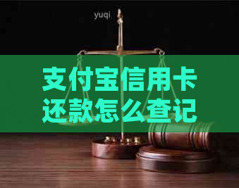 支付宝信用卡还款怎么查记录明细