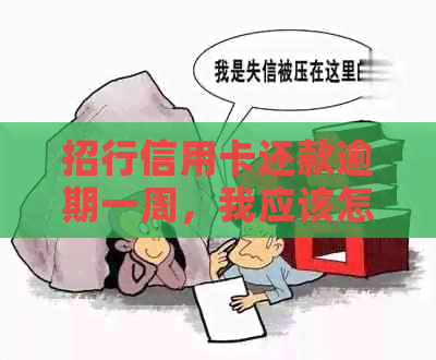 招行信用卡还款逾期一周，我应该怎么办？