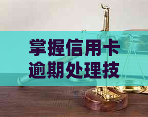 掌握信用卡逾期处理技巧，如何成为高效代还业务员