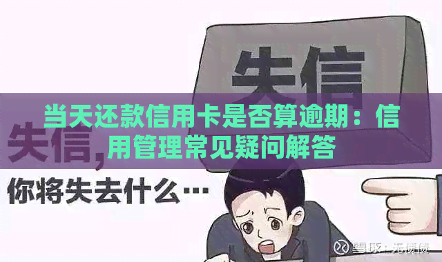 当天还款信用卡是否算逾期：信用管理常见疑问解答