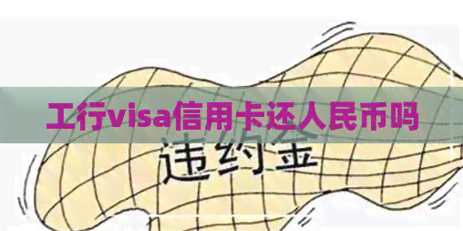 工行visa信用卡还人民币吗