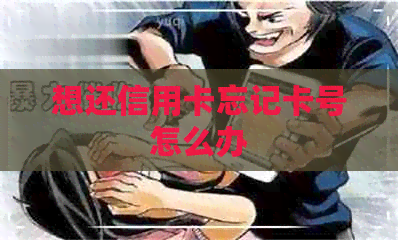 想还信用卡忘记卡号怎么办