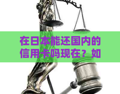 在能还国内的信用卡吗现在？如何操作，是否可行？