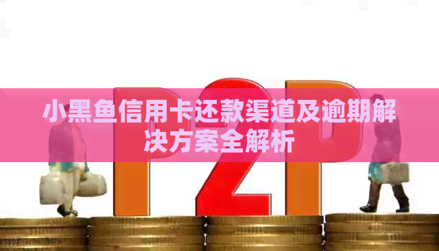 小黑鱼信用卡还款渠道及逾期解决方案全解析