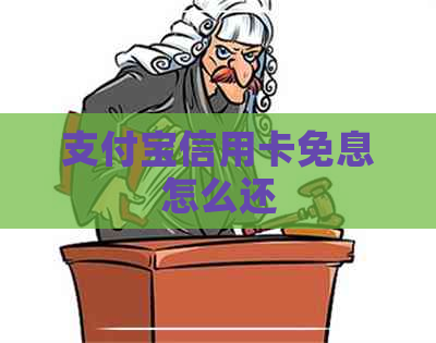 支付宝信用卡免息怎么还