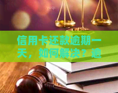 信用卡还款逾期一天，如何解决？逾期后果及挽救措全面解析