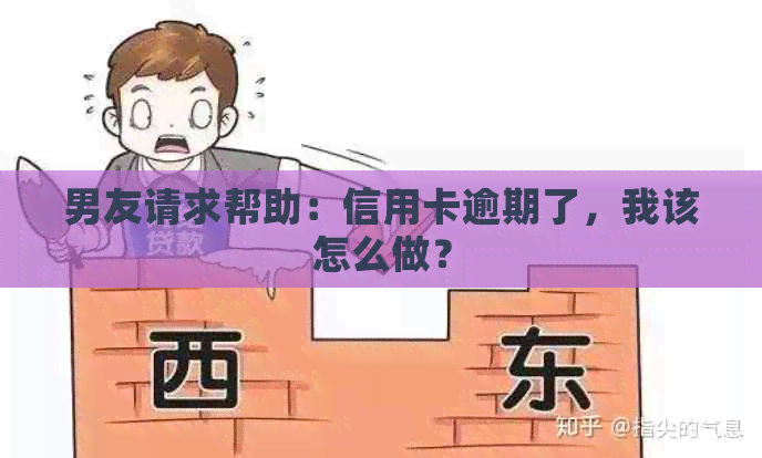 男友请求帮助：信用卡逾期了，我该怎么做？