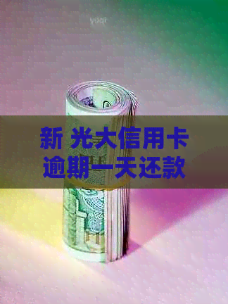 新 光大信用卡逾期一天还款产生的影响及应对策略