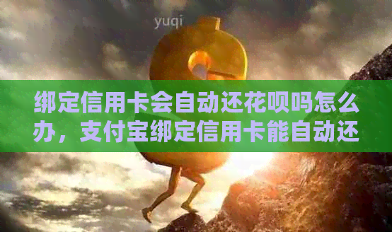 绑定信用卡会自动还花呗吗怎么办，支付宝绑定信用卡能自动还蚂蚁花呗吗？