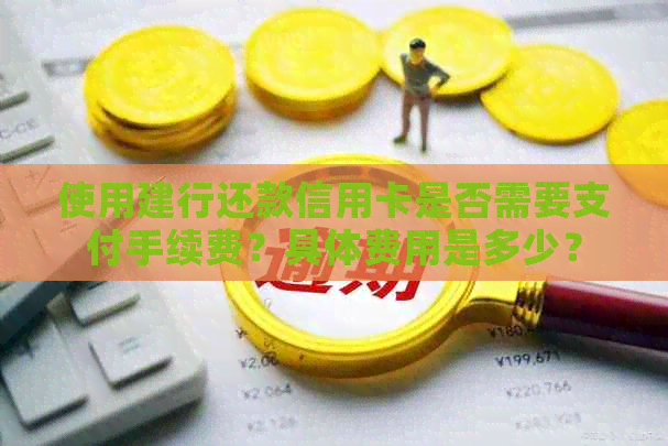 使用建行还款信用卡是否需要支付手续费？具体费用是多少？