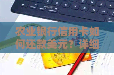 农业银行信用卡如何还款美元？详细指南及注意事项