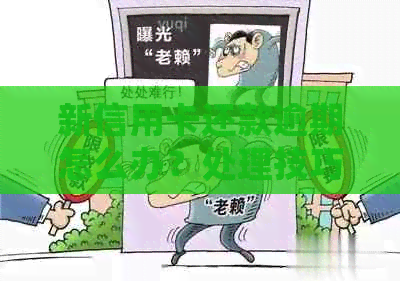 新信用卡还款逾期怎么办？处理技巧大揭秘！