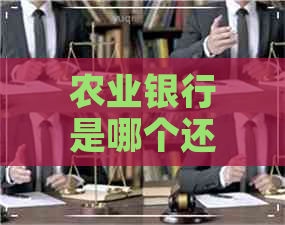 农业银行是哪个还信用卡