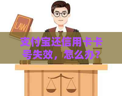 支付宝还信用卡卡号失效，怎么办？