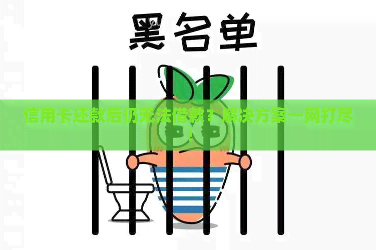 信用卡还款后仍无法借款？解决方案一网打尽！