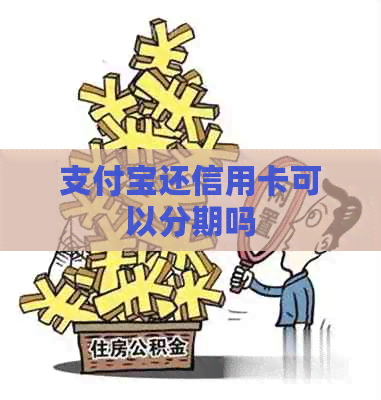 支付宝还信用卡可以分期吗