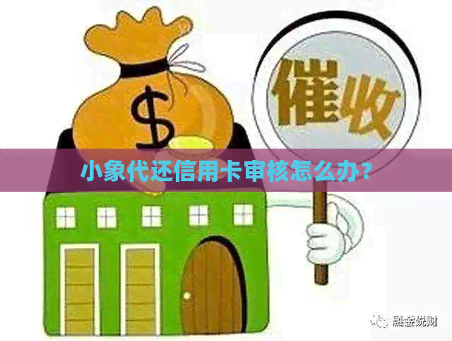 小象代还信用卡审核怎么办？