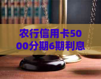 农行信用卡5000分期6期利息多少？