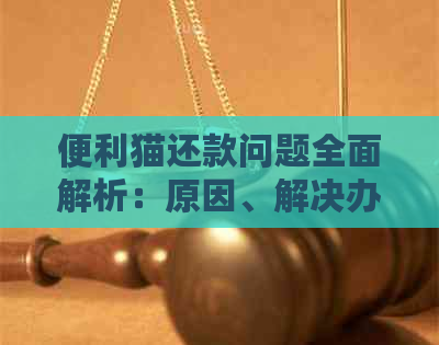 便利猫还款问题全面解析：原因、解决办法及用户权益保障