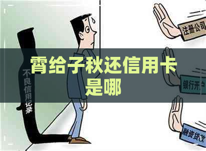 霄给子秋还信用卡是哪