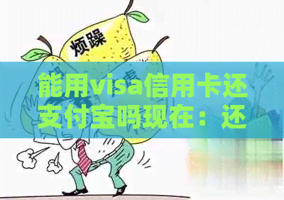 能用visa信用卡还支付宝吗现在：还款渠道详情及操作指南