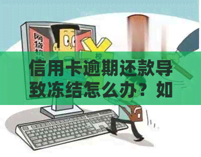 信用卡逾期还款导致冻结怎么办？如何解决这个问题？