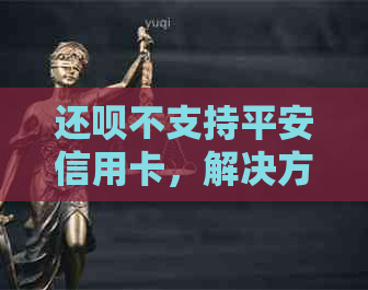 还呗不支持平安信用卡，解决方案有哪些？