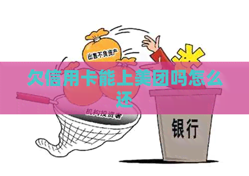 欠信用卡能上美团吗怎么还