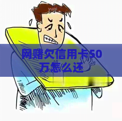 网欠信用卡50万怎么还