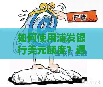 如何使用浦发银行美元额度？遇到问题怎么办？