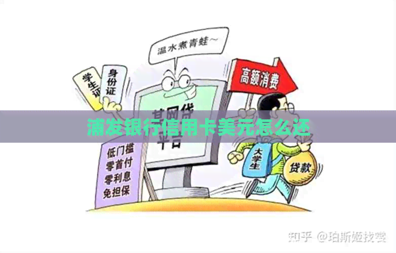 浦发银行信用卡美元怎么还