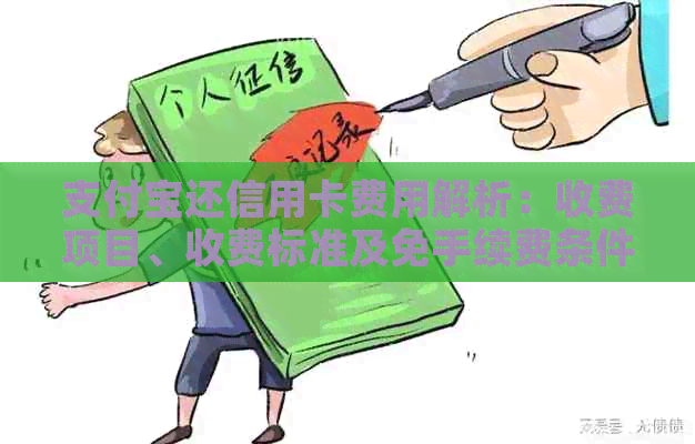 支付宝还信用卡费用解析：收费项目、收费标准及免手续费条件一网打尽